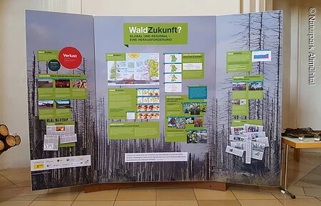 Tafel WaldZukunft? Ausstellungstafel 1, WaldZukunft, Klimawandel, Wald & Du!