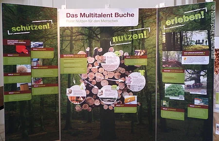 Multitalent Buche Ausstellung 2016