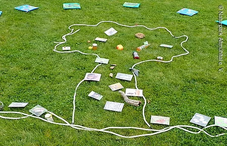 Streuobstwiese Programm