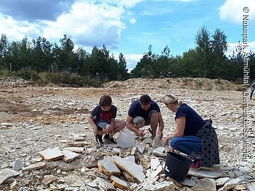 Eine Familie kniet im Steinbruch und sucht mit Hammer und Meißel nach Versteinerungen.