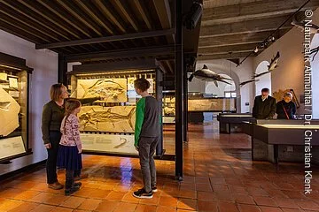 JuraMuseum Eichstätt Zwei Frauen und ein Mädchen schauen sich interessiert versteinerte Fische im Juramuseum an. Rechts sind zwei Besucher die sich über eine Tischvitrine beugen, um besser die Schätze zu begutachten.