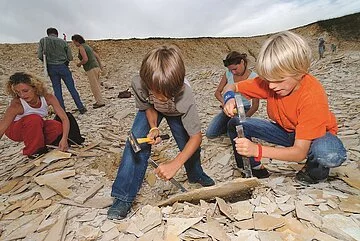 Kinder suchen im Hobbysteinbruch nach Fossilien.