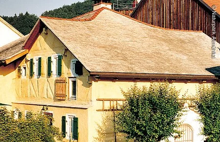 Ein typisches Jurahaus mit Schieferlegdach und grünen Fensterläden. Links vorne gehts in den Garten und rechts am Haus wurden zwei kleine Bäumchen gepflanzt.