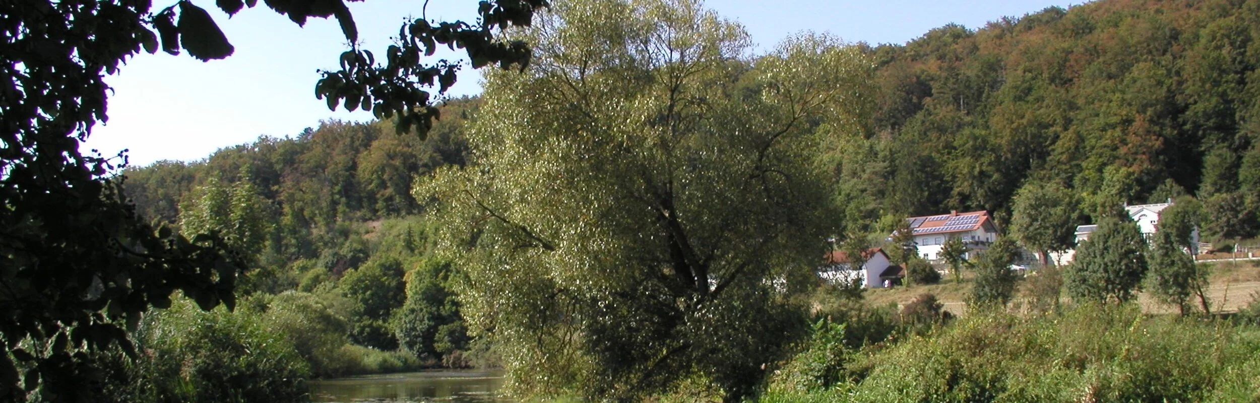 Das Altwasser mit dessen grünen Ufer und rechts blitzen ein paar Häuser durch.