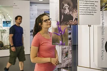 Zwei Besucher des Informationszentrum sind im ersten Stock der Ausstellungsräume und betrachten die Tafeln über die heimischen Tiere.
