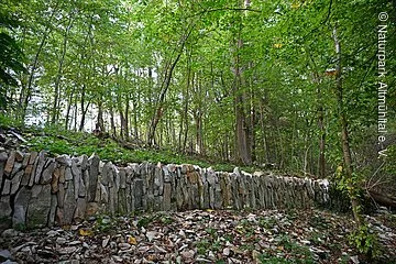 Mauer aus Steinen im Wald