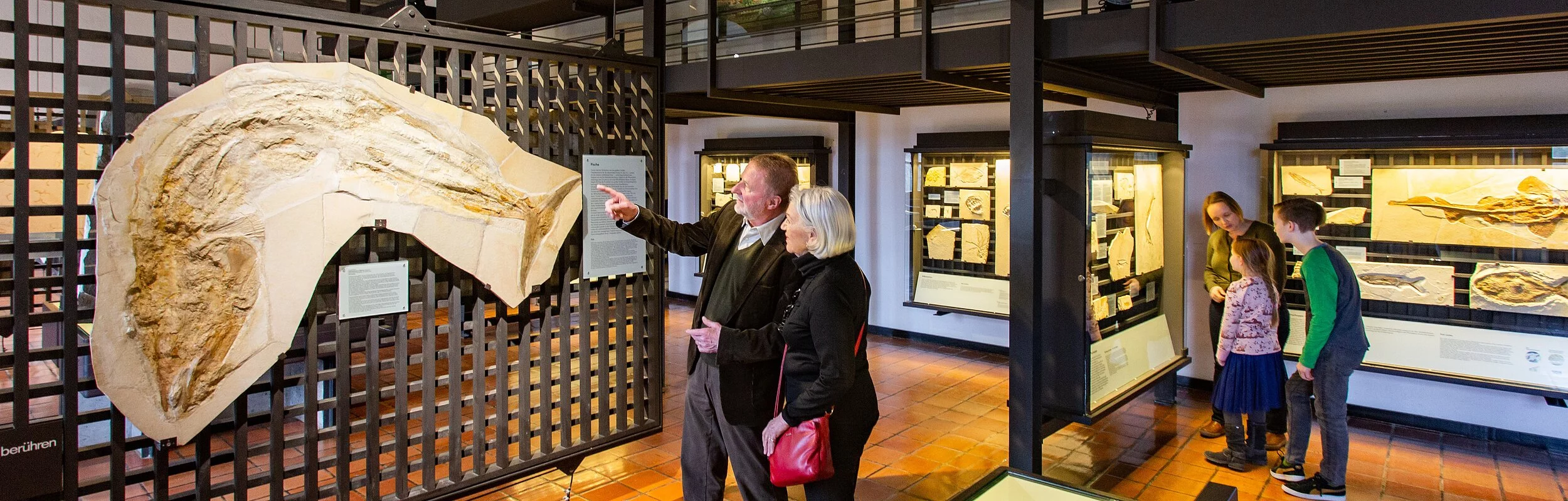 Zwei Besuchergrüppchen betrachten verschiedene Versteinerungen in den Ausstellungsräumen des JuraMuseum auf der Willibaldsburg.