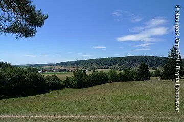 Blick auf die Mauerner Höhlen Grüne Wiesen und Bäume sieht man bei dem Ausblick über die Mauerner Höhlen.