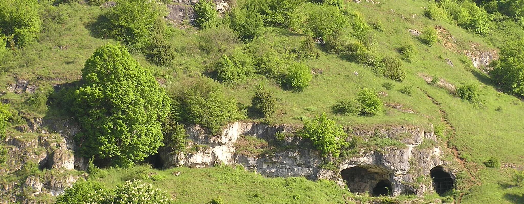Die Höhlen liegen inmitten grüner Wiesen und Büsche an einem Hang.