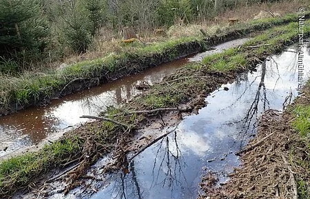 2 parallel verlaufende Vertiefungen im Erdboden, mit Wasser gefüllt