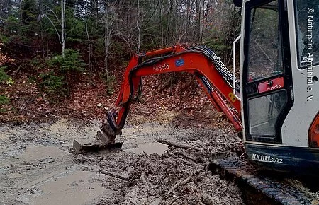 Roter Bagger beginnt zu graben im Wald