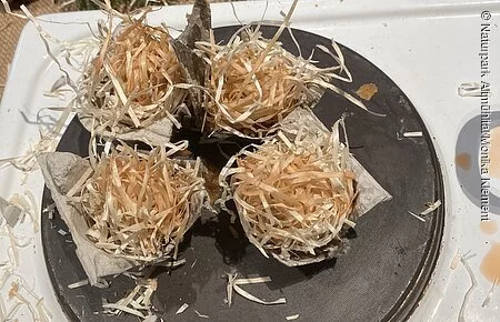 Grillanzünder 4 selbstgemachte Grillanzünder liegen auf einer Platte