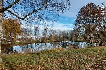 Ein keliner Weiher umgeben von herbstlicher Landschaft. Die kahlen Bäume spiegeln sich im Wasser.