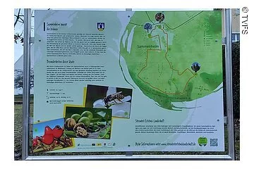 Eine großes Infotafel mit Karte, Bildern und TExt.