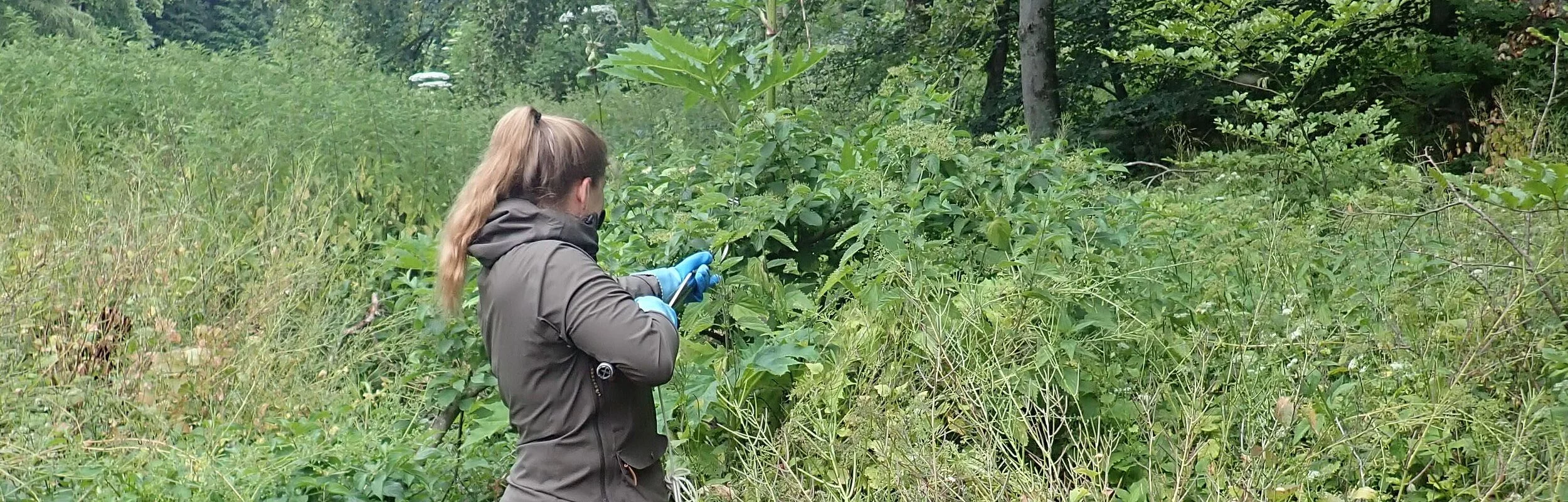 Frau in brauner Kleidung von hinten vor grüner, verbuschter Wiese und Wald