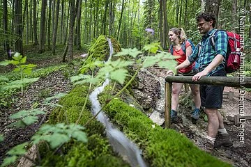 An der hölzernen Abgrenzung an der Steinernen Rinne steht ein Mann mit Bart, Brille und karierten Hemd. Neben ihm steht eine Frau mit Zopf und rotem Shirt. Beide schauen auf die Steinerne Rinne, ein Kalkgestein, die mit grünen Moos bedeckt ist. Der Wald dahinter erstrahlt im satten dunkelgrün.