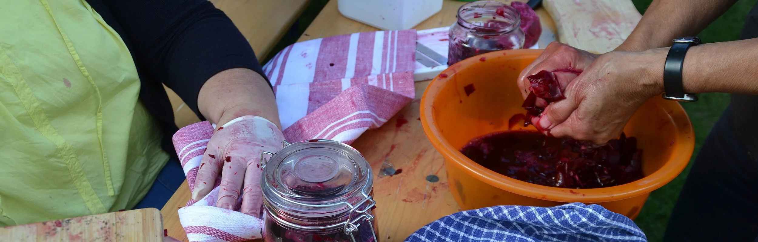 Arbeitende Hände die Rotkohl fermentieren
