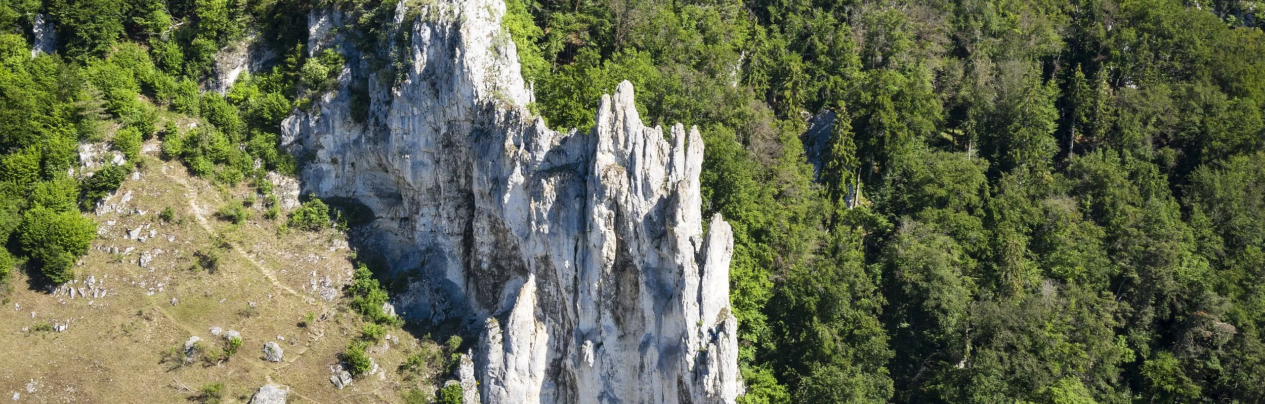 Dohlenfelsen in Wellheim