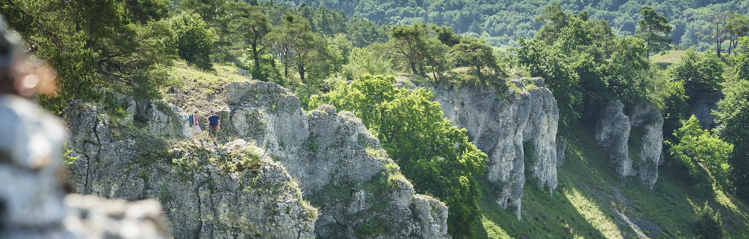 Die Felsformation sticht im hellgrünen Blättergewand hervor. Zwei Wanderer stehen am Rand bei den "12 Aposteln" und schauen ins Tal. Beide sind nur von der Ferne auszumachen.