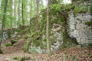 Mauerreste und Bäume im Hintergrund