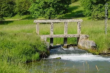 Ein Schwall an der Laber zwischen Dietfurt und Breitenbrunn