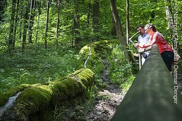An der hölzernen Abgrenzung an der Steinernen Rinne lehnt eine Frau mit geflochtenem Zopf und rotem Shirt. Ein Mann mit Bart und weißem Hemd steht dahinter. Zudem hat man einen guten Blick auf die Steinerne Rinne, ein Kalkgestein, die mit grünen Moos bedeckt ist. Der Wald dahinter erstrahlt im satten dunkelgrün.