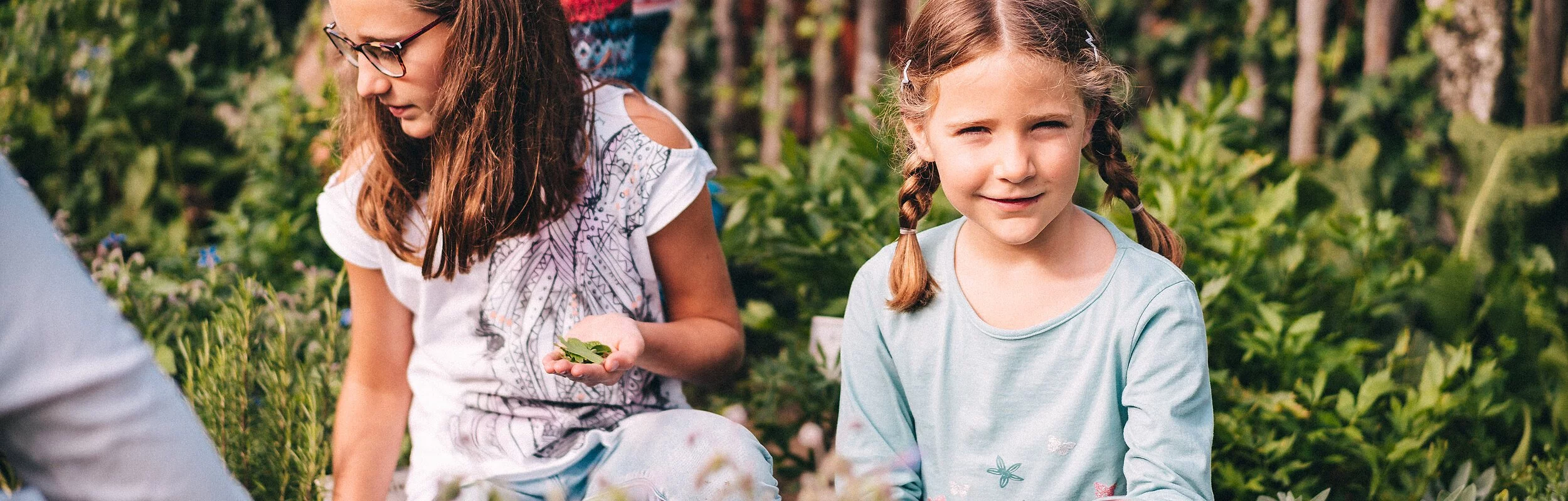Zwei kniende Mädchen pflücken Kräuter im sommerlichen Bauerngarten.