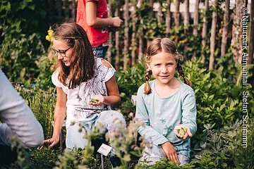 Zwei kniende Mädchen pflücken Kräuter im sommerlichen Bauerngarten.
