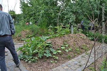 Ernte im Jura-Bauernhof-Museum Ein Garten mit Gemüsepflanzen ist zu sehen. Am linken Bildrand steht ein Mann.
