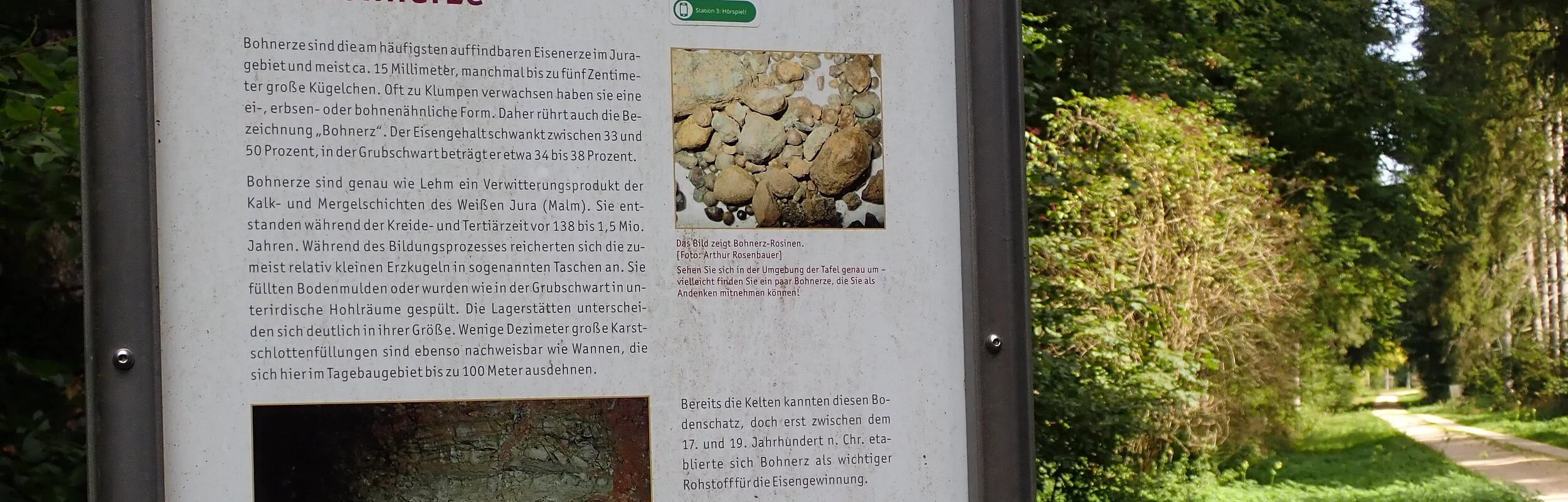Lehrpfadtafel am Montangeschichtlicher Lehrpfad auf der Wiese.