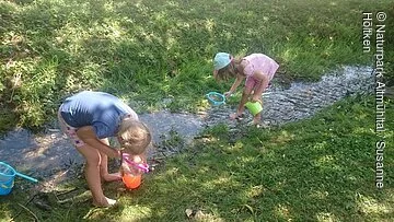 Kinder keschern am Bach Zwei Kinder stehen in einem kleinen Bach und schauen in ihre Kescher.
