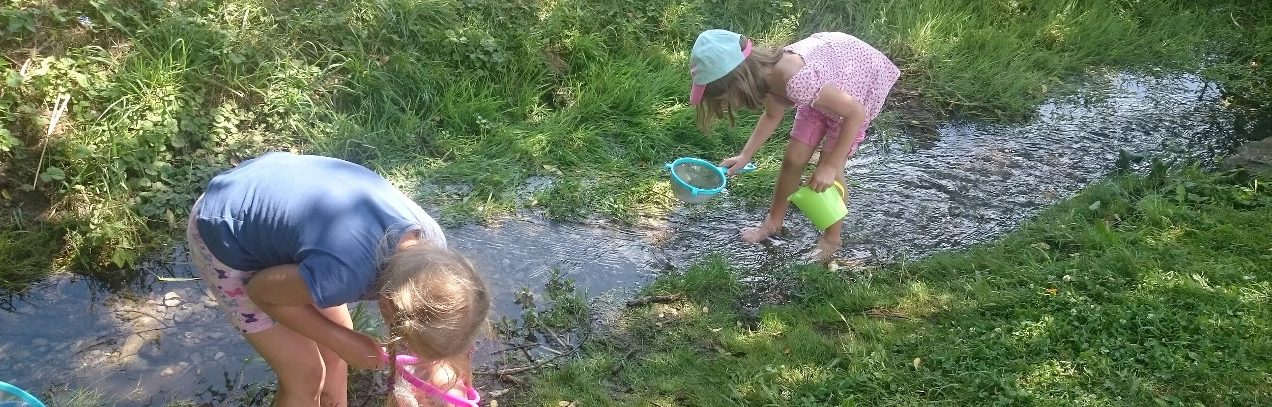 Zwei Kinder stehen in einem kleinen Bach und schauen in ihre Kescher.