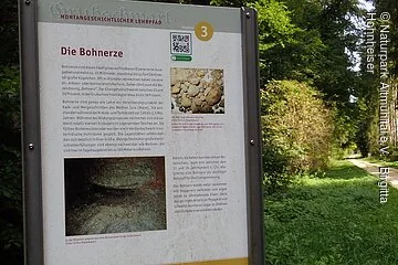 Lehrpfadtafel am Montangeschichtlicher Lehrpfad auf der Wiese.