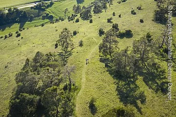 Wanderer auf der Gungoldinger Wacholderheide von oben. Die Wacholderheide mit ihren typischen Büschen leuchtet in hellem grün.
