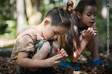 Zwei Kinder sitzen am Waldboden und halten sehr interessiert etwas fest, dass sie zudem gebahnt anschauen.