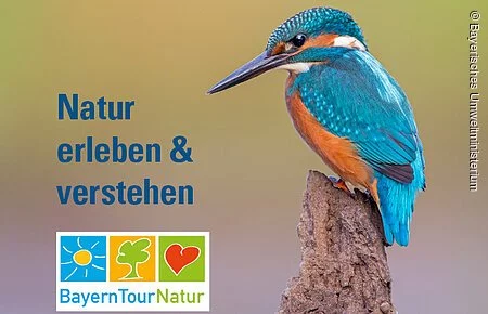 BayernTourNatur Blau und orange gefiederter Vogel mit spitzen Schnabel sitz ruhig auf braunen Ast. Logo mit Sonne, Baum und Herz.