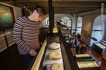 JuraMuseum Eichstätt auf der Willibaldsburg