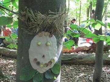 Baumgeister