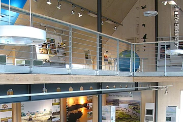 Die Ausstellung "Lebensraum Altmühlsee - Faszination Vogelzug" erstreckt sich über zwei Ebenen.