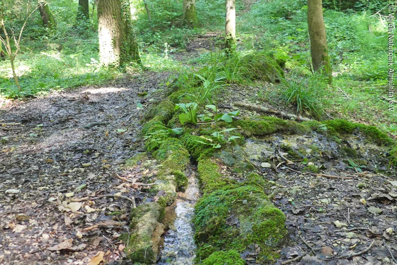 Steinerne Rinne nördlich von Hechlingen - Naturpark Altmühltal ...