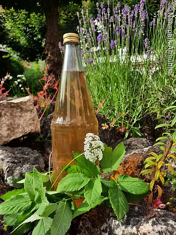 Kräuterlimonade Eine Flasche Kräuterlimonade umgeben von verschiedenen Kräutern