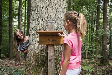 Zwei Mädchen stehen an einem Baum im  Walderlebnispfad.