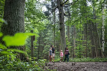 Eine Familie spaziert durch den Walderlebnispfad.