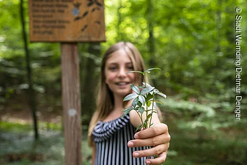 Ein Kind hält eine Pflanze im Walderlebnispfad in der Hand.