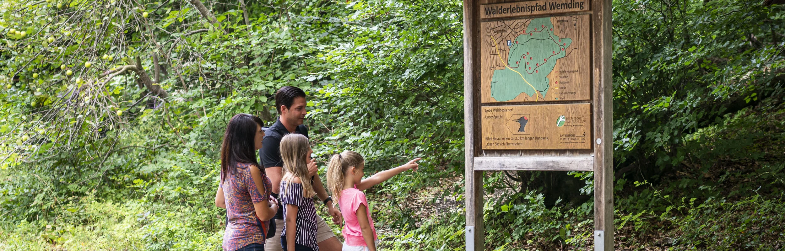 Eine Familie steht vor der Starttafel im Walderlebnispfad und informiert sich.
