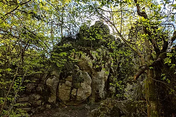 Der Felsen mit Moos bewachsen liegt umgeben von Bäumen im Naturschutzgebiet.