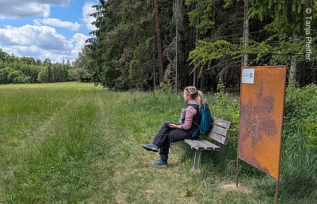 Roßkopfsteig Wiese-Waldrand, Wanderin auf Sitzbank, Stele "Waldökosystem"