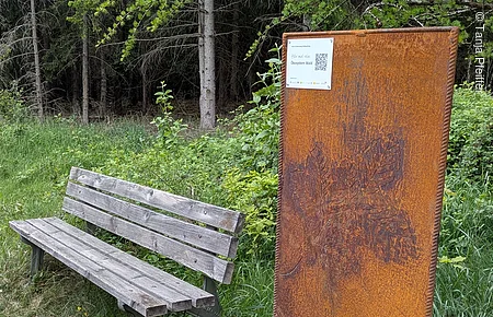 Roßkopfsteig_Waldrand Sitzbank und Infostele am Waldrand