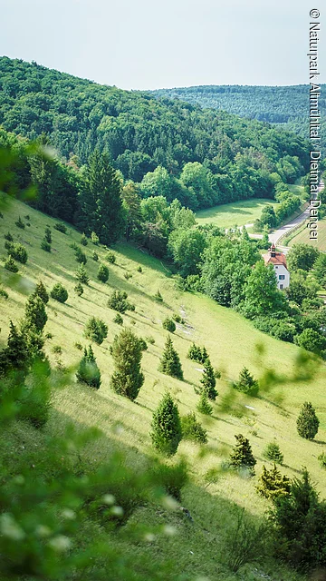 Wacholderheide bei Zimmern