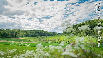 Rohrachtal bei Treuchtlingen Rohrachtal bei Treuchtlingen